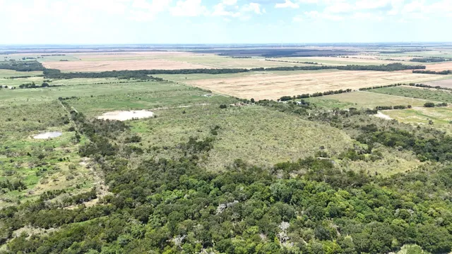 a view of a field with trees in the background