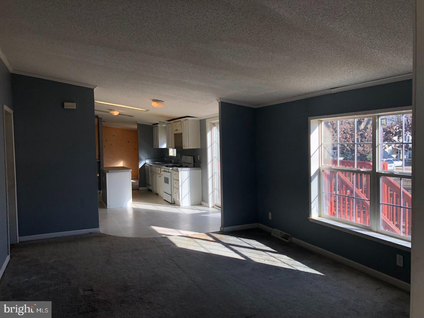 117 South Carlton Street Lindenwold, NJ 08021 - Photo 9 of 30