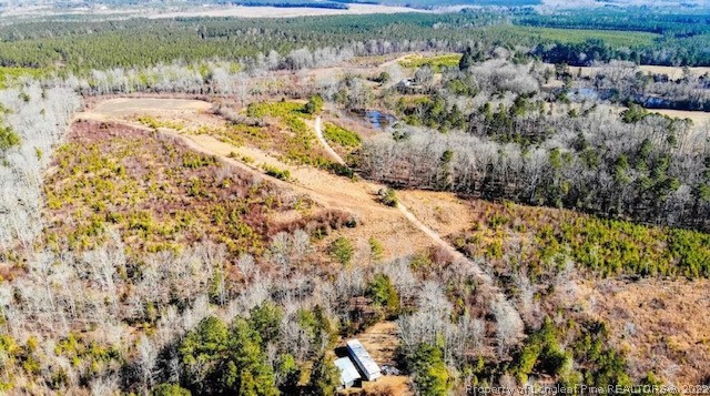 5361 Glendon Carthage Road Carthage, NC 28327 - Photo 3 of 4