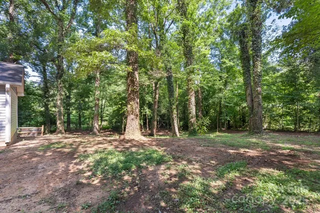 a view of outdoor space with trees all around