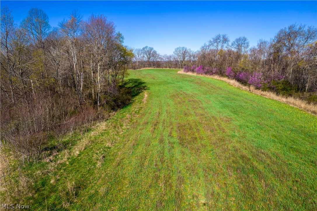 Sealover Hollow Rd Road Philo, OH 43771 - Photo 2 of 36