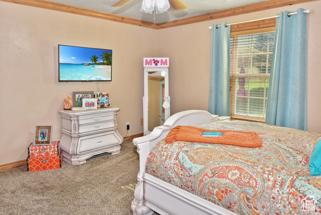 1500 Fish Creek Road Bancroft, ID 83217 - Photo 7 of 45 Bedroom with carpet and crown molding