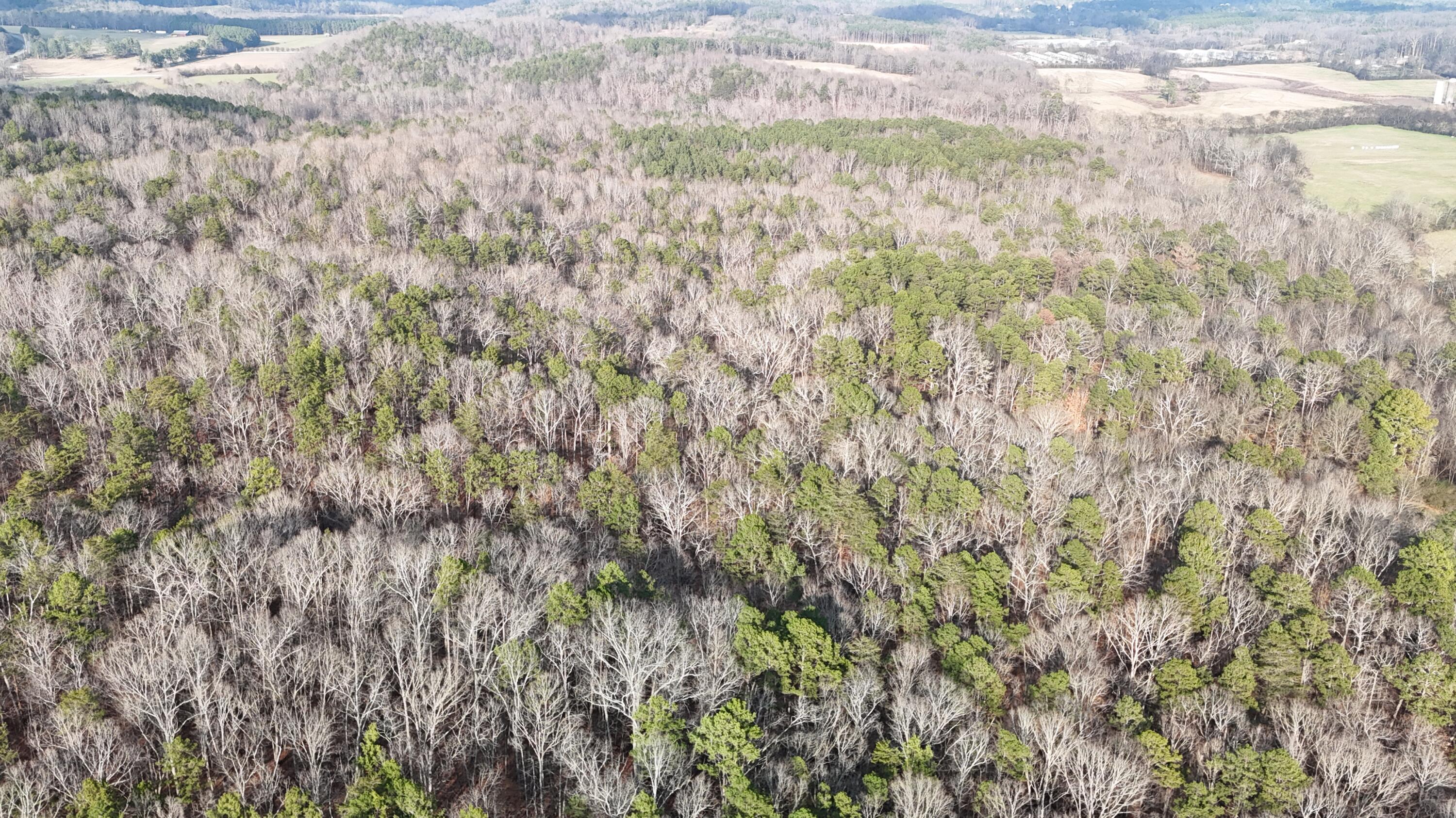 5723 Chamberlain Road LaFayette, GA 30728 - Photo 5 of 11 dji_fly_20260107_154818_0010_17678248214