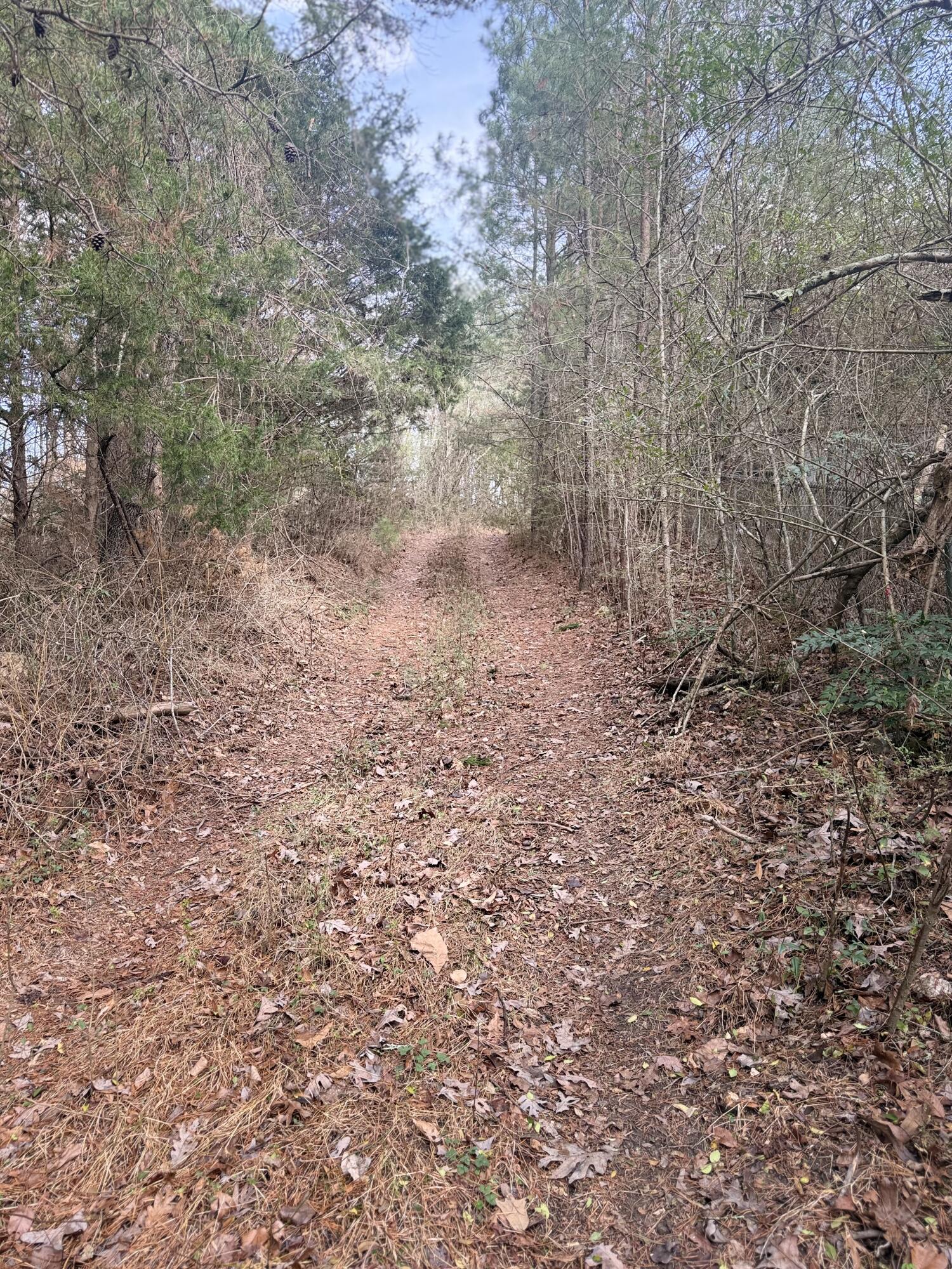 5723 Chamberlain Road LaFayette, GA 30728 - Photo 8 of 11 IMG_1780