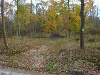 8370 Middle Run Road Dover, OH 44622 - Photo 1 of 1 Gallery Image 1