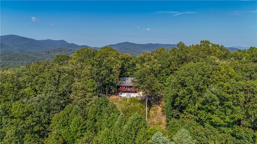 832 Scenic Mountain View Road Blue Ridge, GA 30513 - Photo 50 of 56 a view of a lush green field with lots of bushes