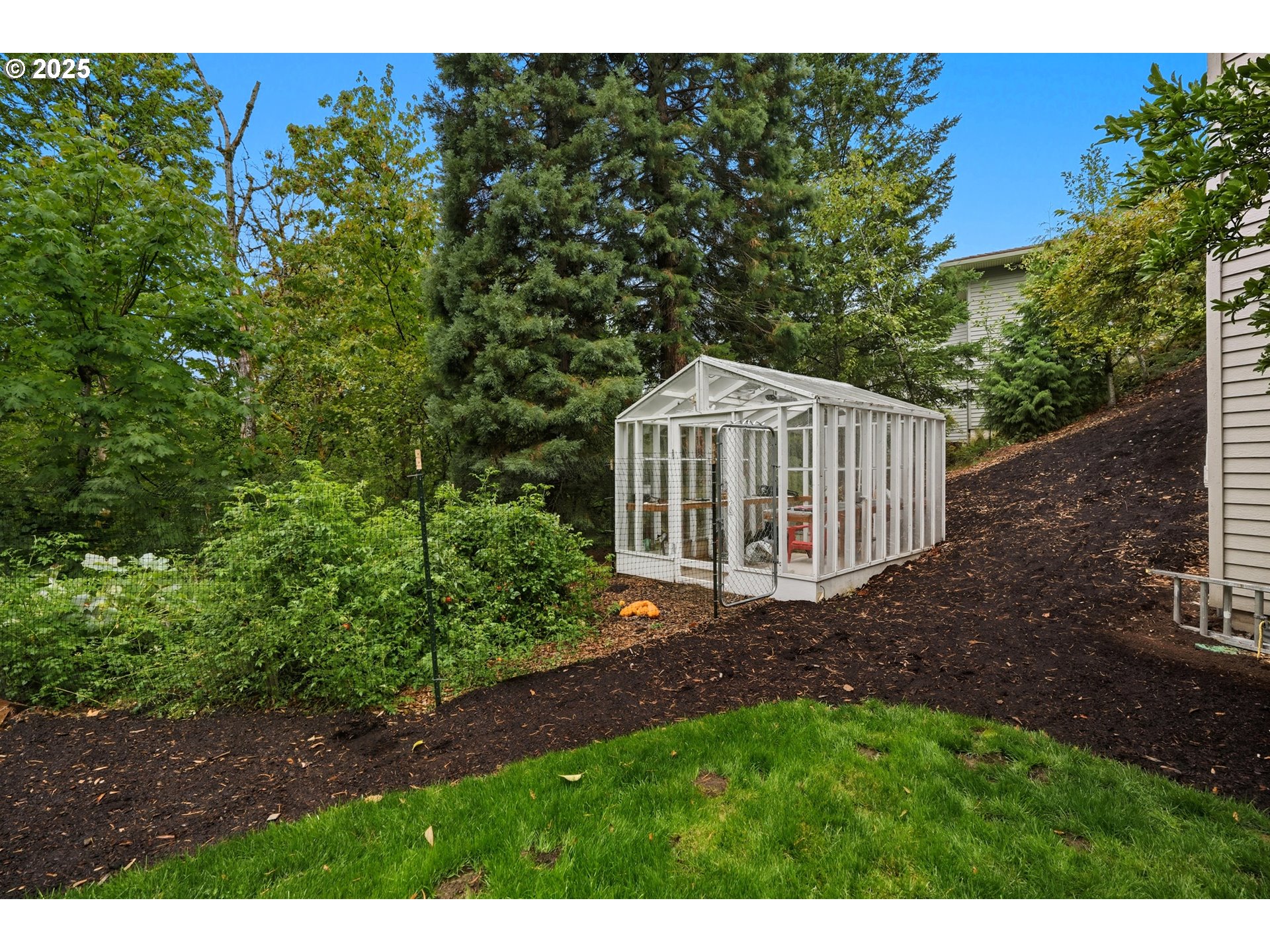 1109 Northwest Frazier Court Portland, OR 97229 - Photo 41 of 44 a view of a yard with plants and trees