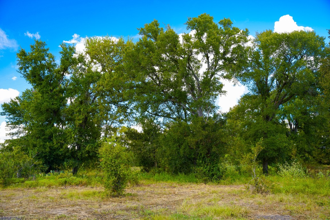 0 470th Centre Coupland, TX 78615 - Photo 28 of 36 a backyard of a house with lots of green space