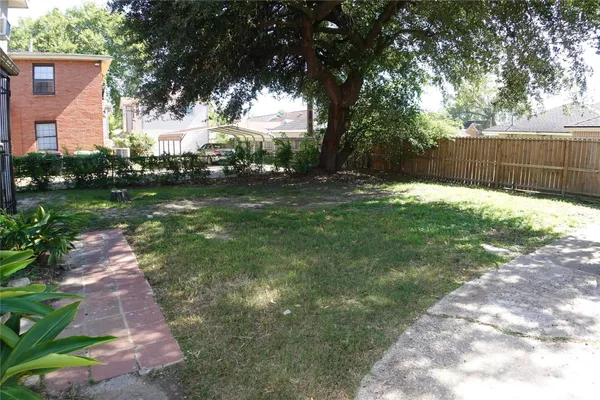 a view of a yard with plants and a large tree