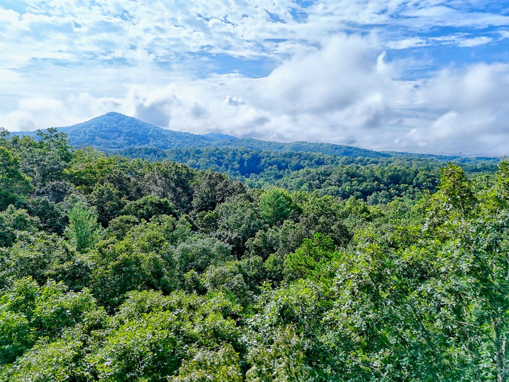 773 Rolling Oaks Road Murphy, NC 28906 - Photo 2 of 72 a view of a bunch of trees