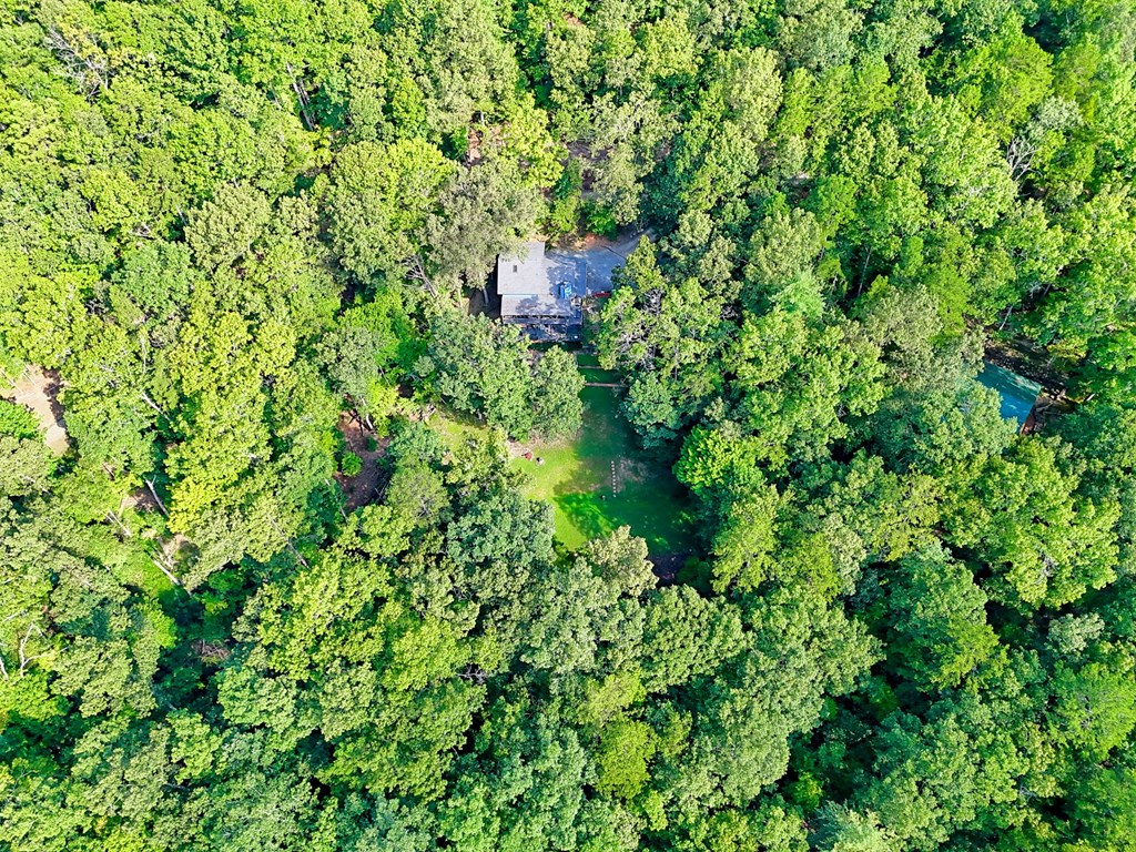 773 Rolling Oaks Road Murphy, NC 28906 - Photo 3 of 72 a view of a lush green forest