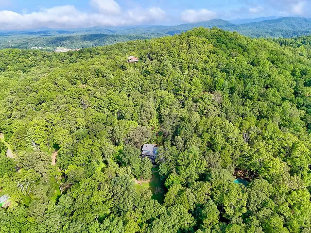 a view of a large yard