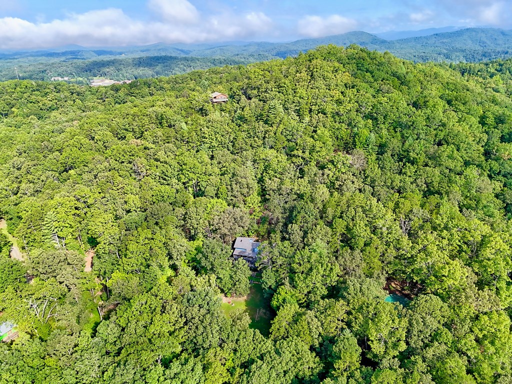 773 Rolling Oaks Road Murphy, NC 28906 - Photo 4 of 72 a view of a large yard