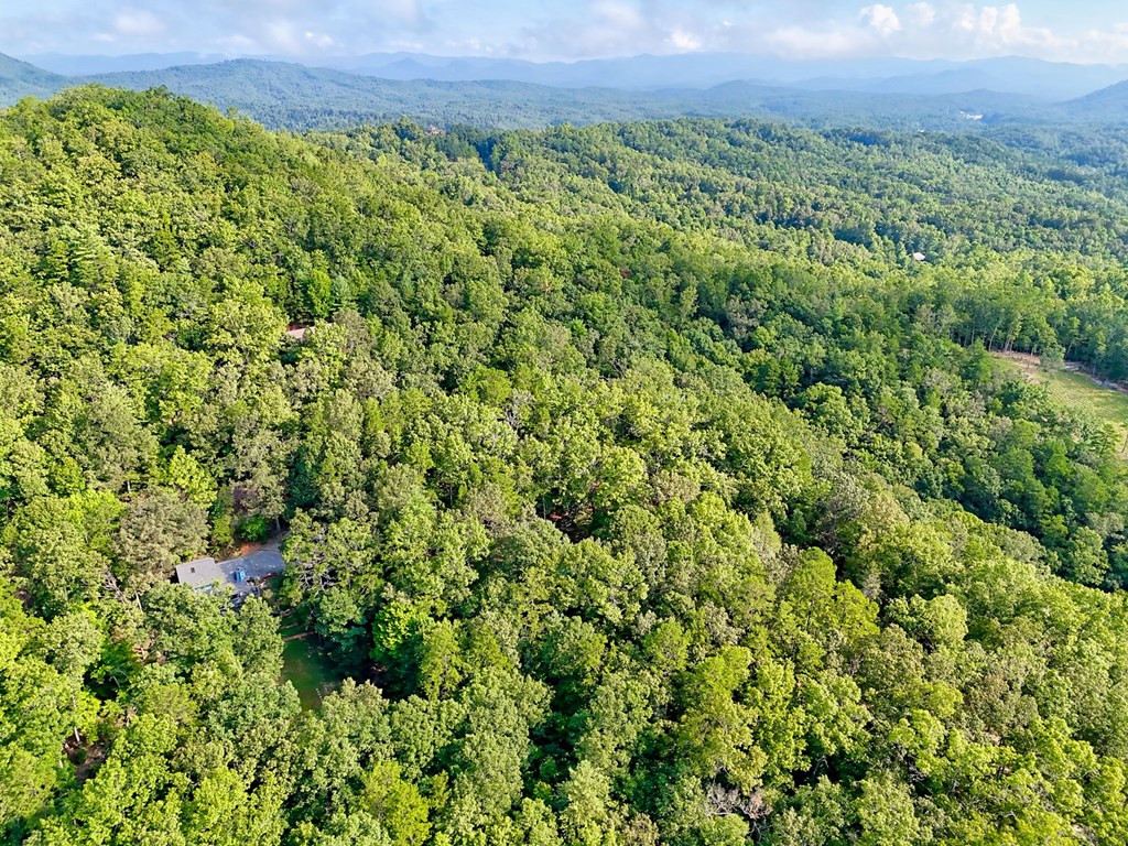 773 Rolling Oaks Road Murphy, NC 28906 - Photo 5 of 72 a view of a green field with lots of bushes