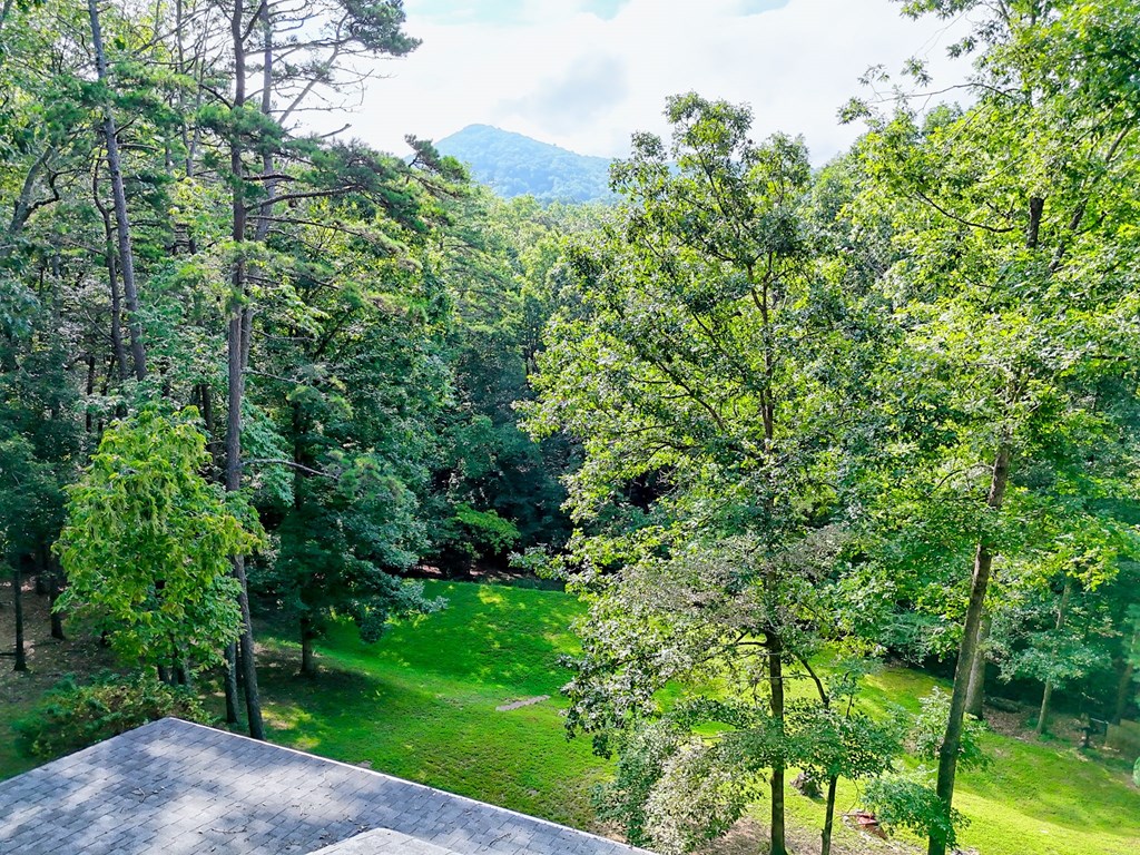 773 Rolling Oaks Road Murphy, NC 28906 - Photo 7 of 72