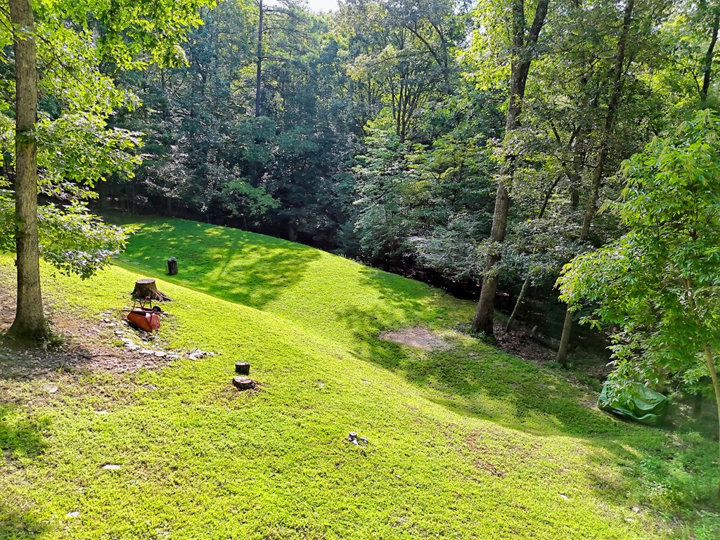 773 Rolling Oaks Road Murphy, NC 28906 - Photo 72 of 72 a view of a garden with an outdoor space
