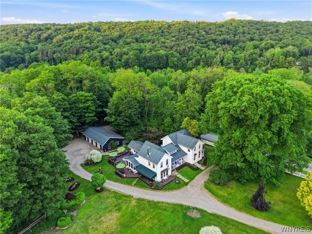 9788 Clarksburg Road Eden, NY 14057 - Photo 47 of 49
