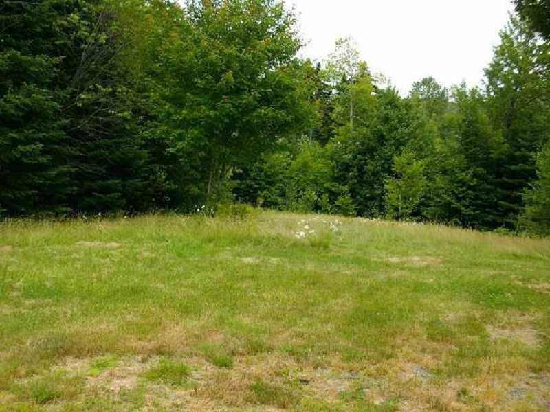 39 Edelheid Road Sandy River Plt, ME 04970 - Photo 20 of 33 Yard/Garden.
