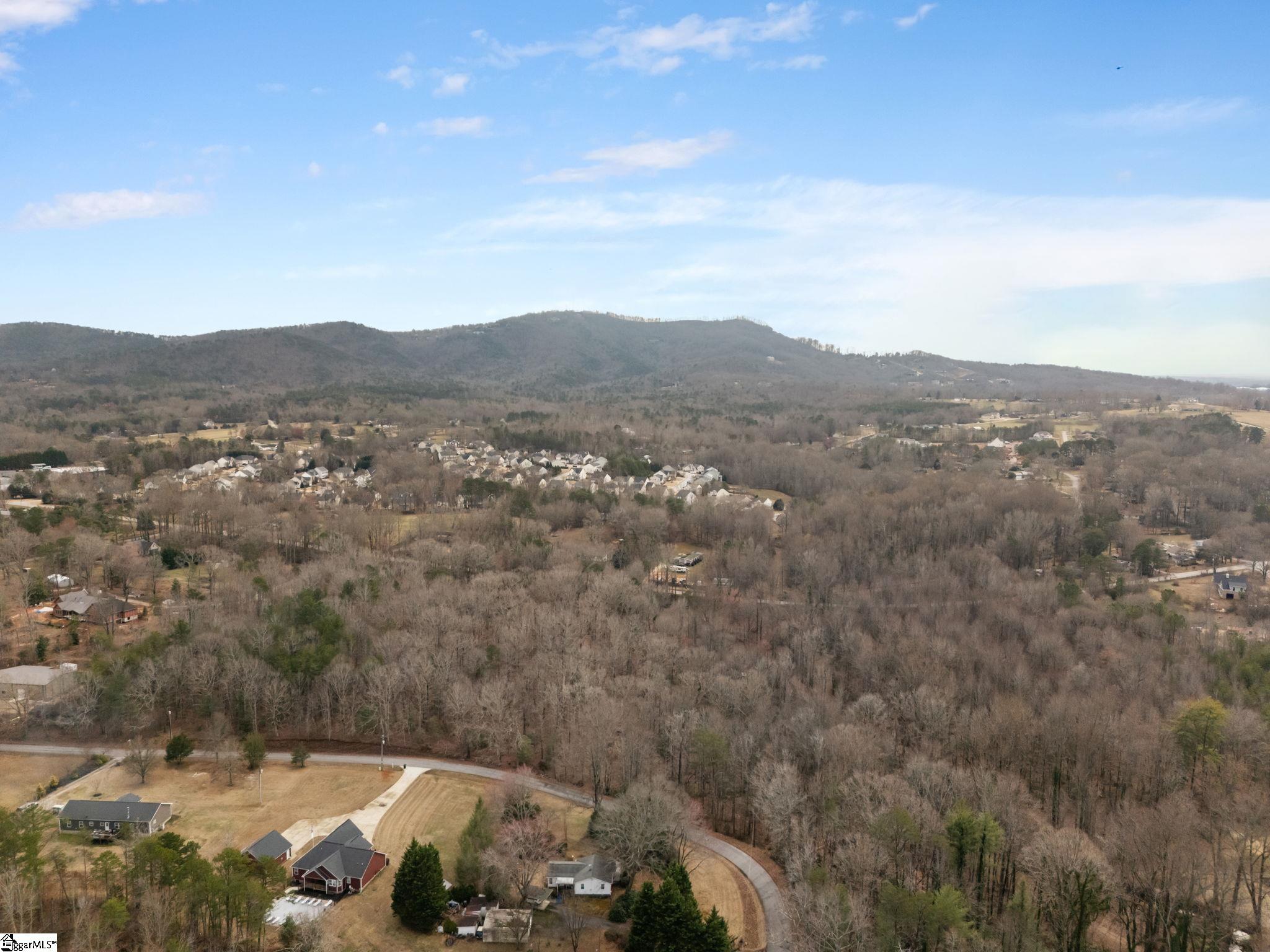 Hawkins Road Travelers Rest, SC 29690 - Photo 7 of 15