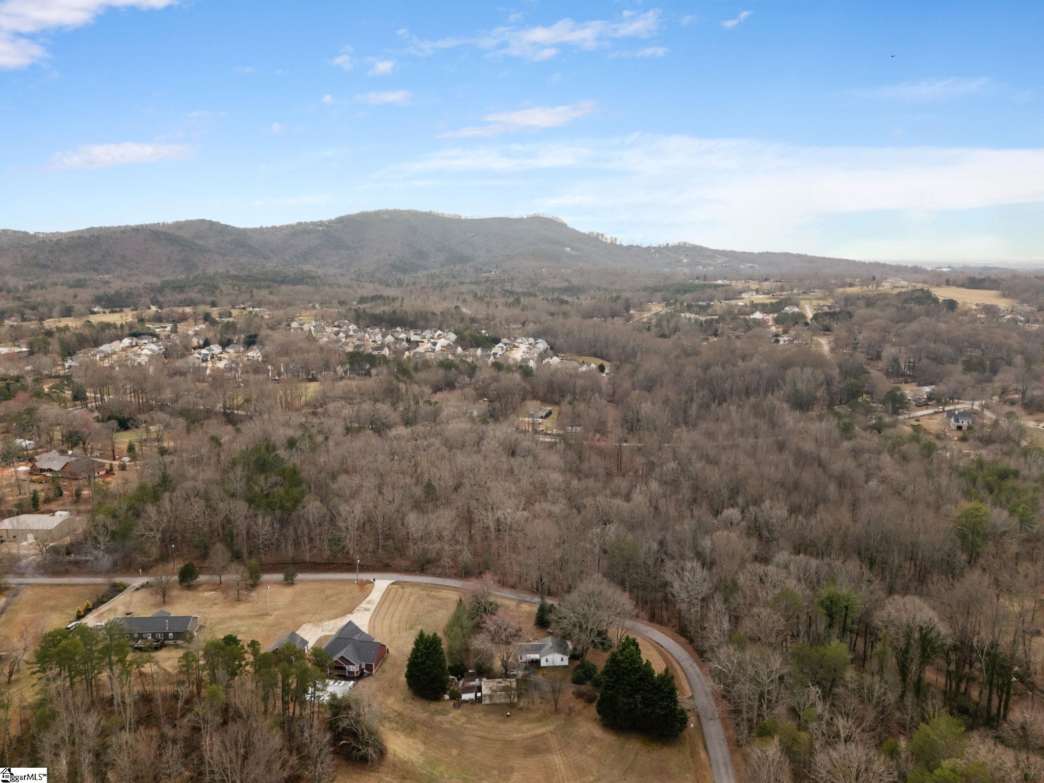 Hawkins Road Travelers Rest, SC 29690 - Photo 9 of 15