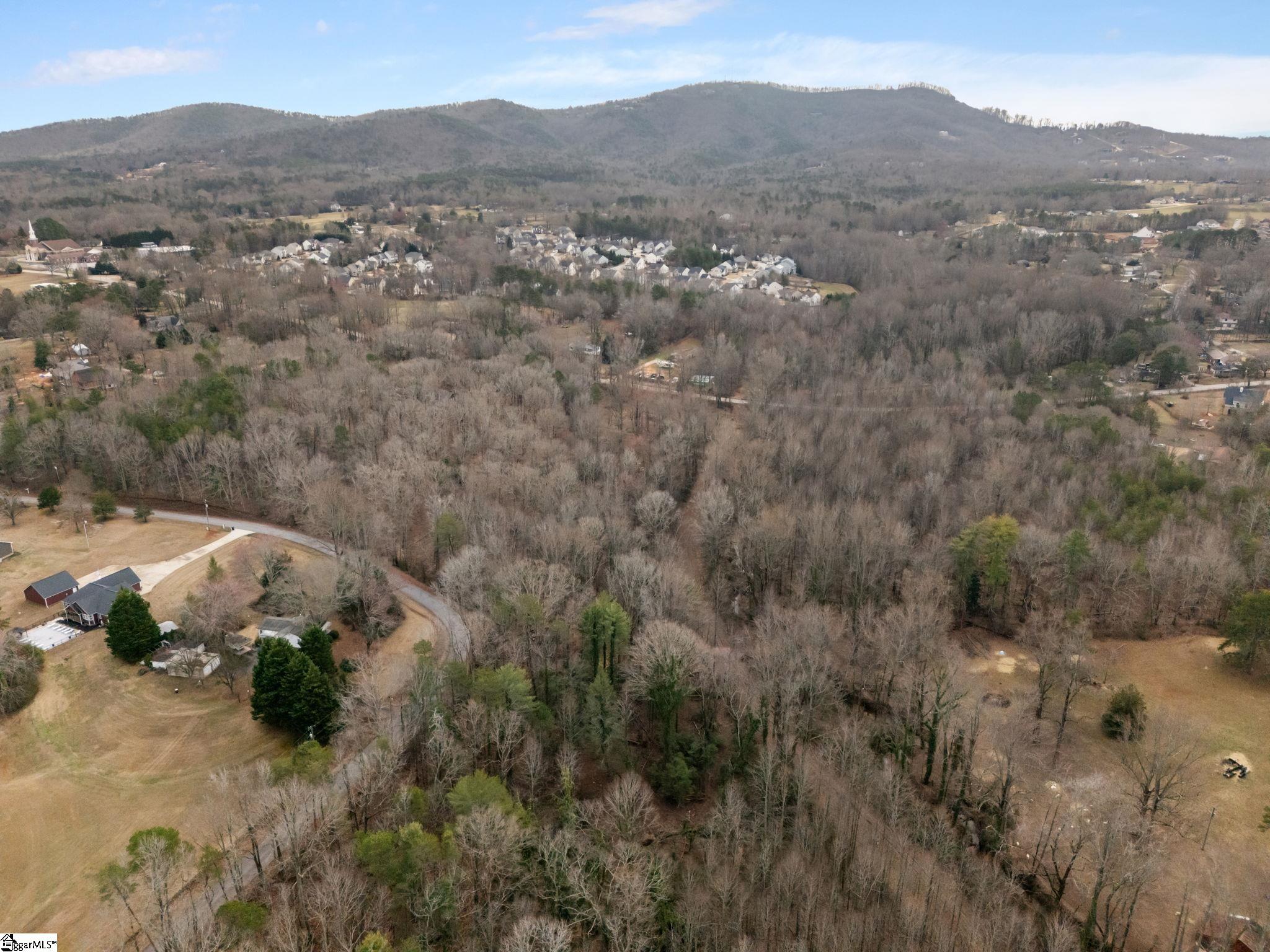 Hawkins Road Travelers Rest, SC 29690 - Photo 10 of 15