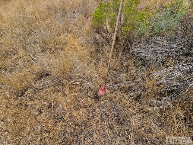 $49,500 | 5-7 Pheasant Drive, Salmon, ID 83467