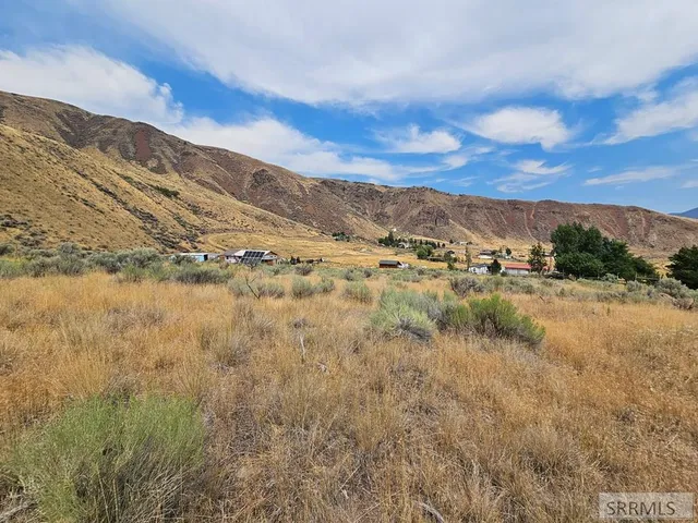 $49,500 | 5-7 Pheasant Drive, Salmon, ID 83467