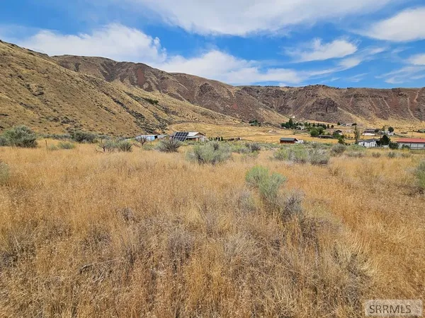 $49,500 | 5-7 Pheasant Drive, Salmon, ID 83467