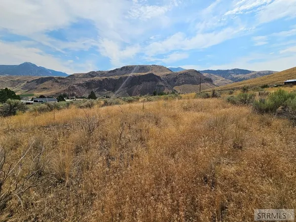 $49,500 | 5-7 Pheasant Drive, Salmon, ID 83467