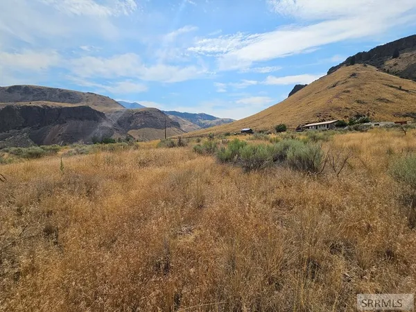 $49,500 | 5-7 Pheasant Drive, Salmon, ID 83467
