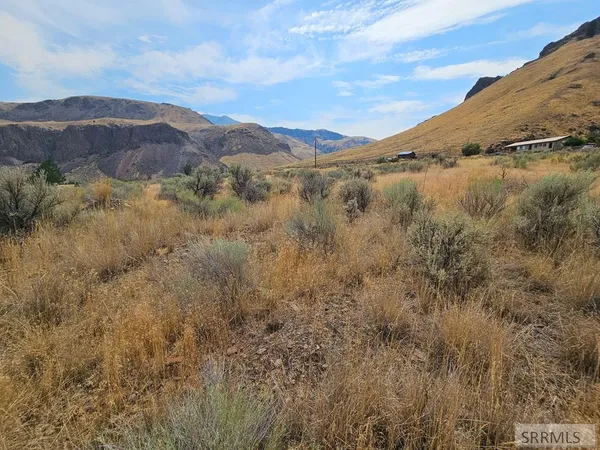 $49,500 | 5-7 Pheasant Drive, Salmon, ID 83467