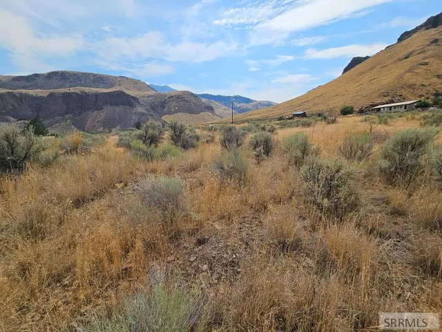 $49,500 | 5-7 Pheasant Drive, Salmon, ID 83467