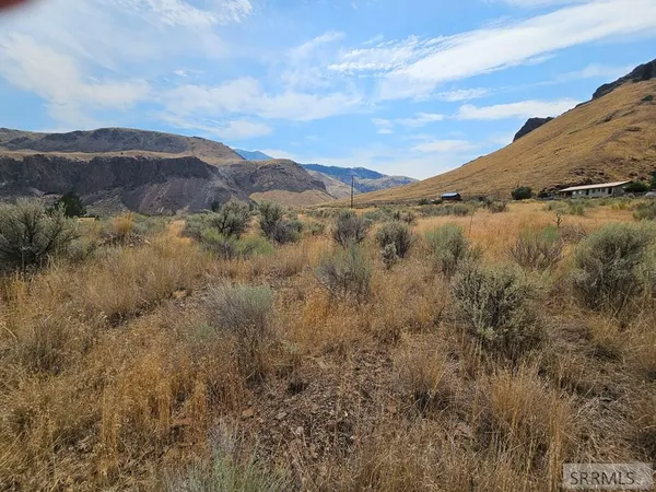 $49,500 | 5-7 Pheasant Drive, Salmon, ID 83467