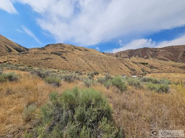 $49,500 | 5-7 Pheasant Drive, Salmon, ID 83467