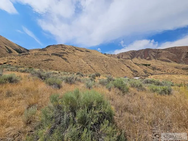 $49,500 | 5-7 Pheasant Drive, Salmon, ID 83467