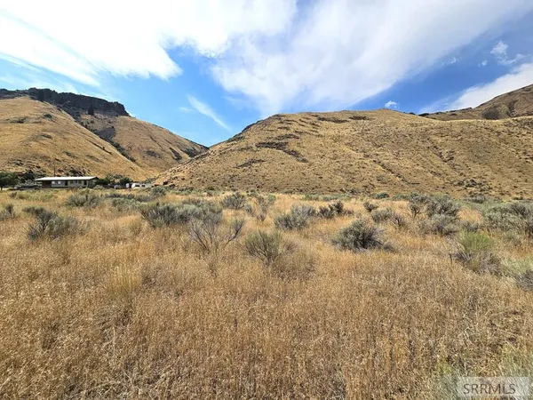 $49,500 | 5-7 Pheasant Drive, Salmon, ID 83467