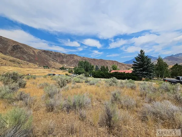 $49,500 | 5-7 Pheasant Drive, Salmon, ID 83467