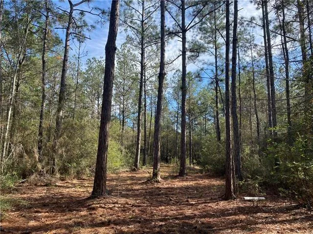 $190,000 | 195 Mayhaw Road, Covington, LA 70435