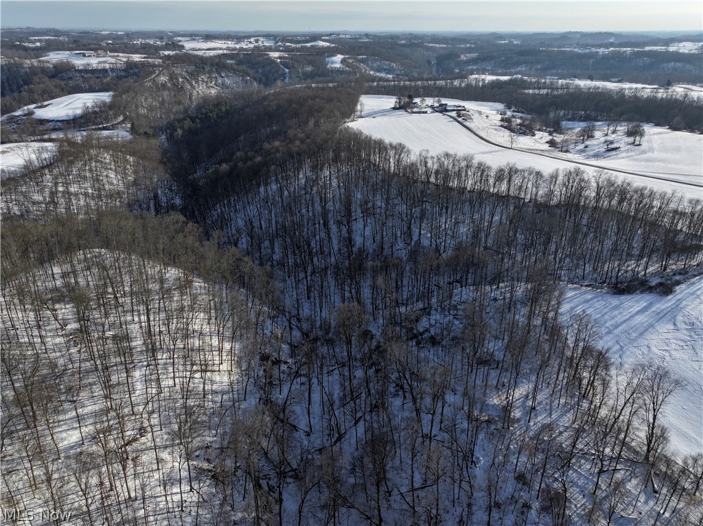 0 Tract 2 Morrs Ridge Road Jerusalem, OH 43747 - Photo 5 of 10