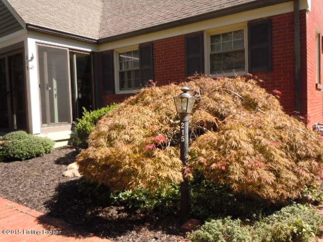 Mature landscaping