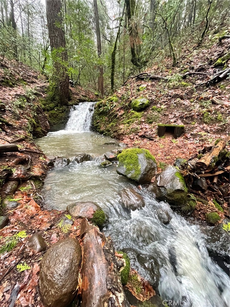 15001 Culiacan Court Forest Ranch, CA 95942 - Photo 3 of 66 a view of a tree with a yard