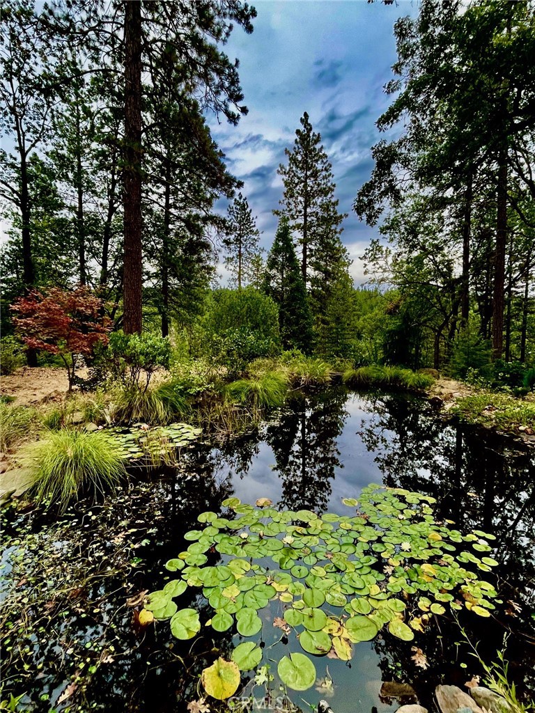 15001 Culiacan Court Forest Ranch, CA 95942 - Photo 4 of 66