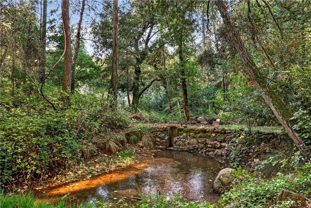 15001 Culiacan Court Forest Ranch, CA 95942 - Photo 47 of 66