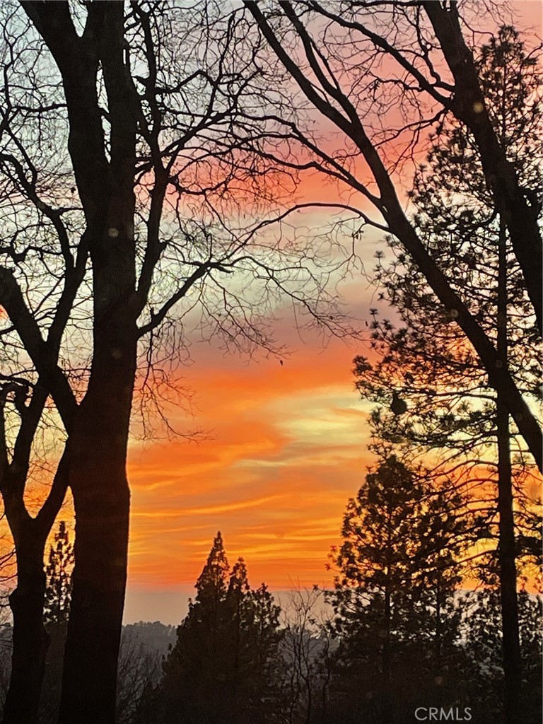 15001 Culiacan Court Forest Ranch, CA 95942 - Photo 57 of 66