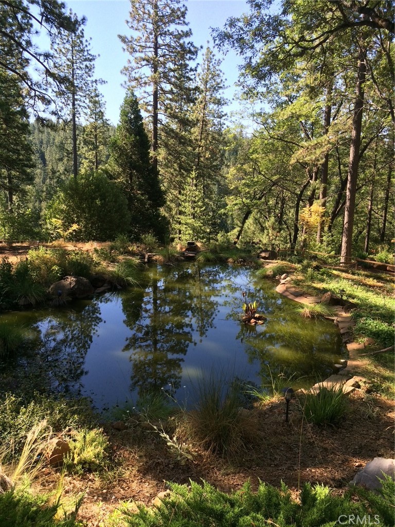 15001 Culiacan Court Forest Ranch, CA 95942 - Photo 58 of 66