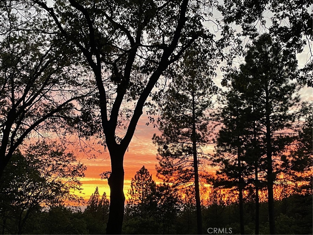 15001 Culiacan Court Forest Ranch, CA 95942 - Photo 59 of 66