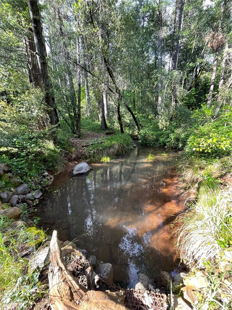 15001 Culiacan Court Forest Ranch, CA 95942 - Photo 61 of 66 a view of lake with green space