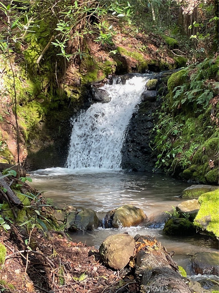 15001 Culiacan Court Forest Ranch, CA 95942 - Photo 62 of 66 a view of swimming pool with a yard