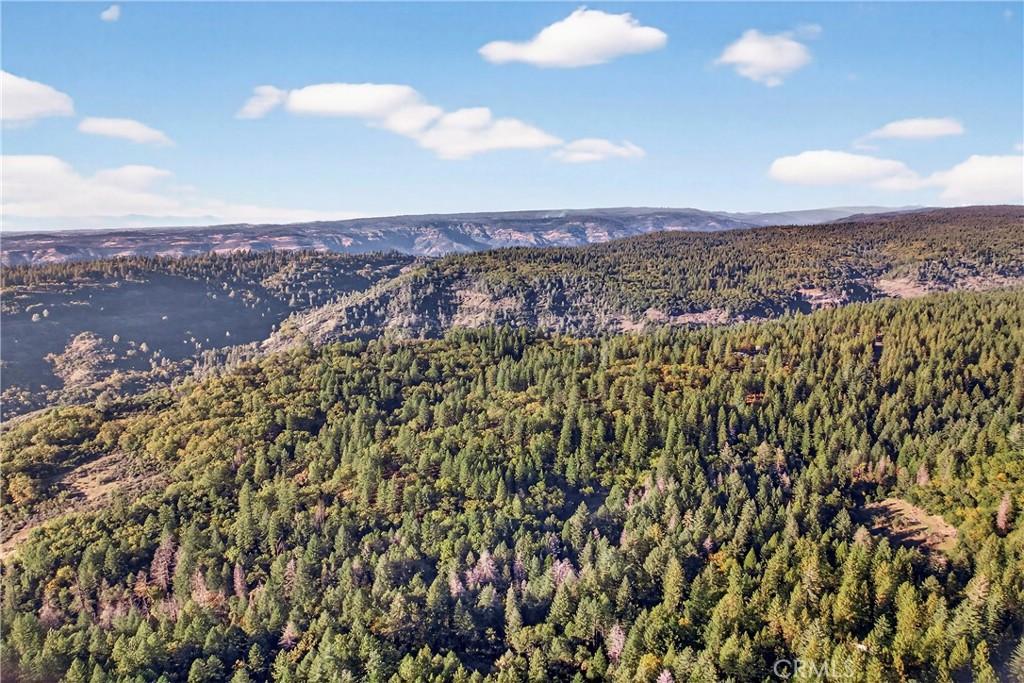 15001 Culiacan Court Forest Ranch, CA 95942 - Photo 64 of 66 wooden view of a city