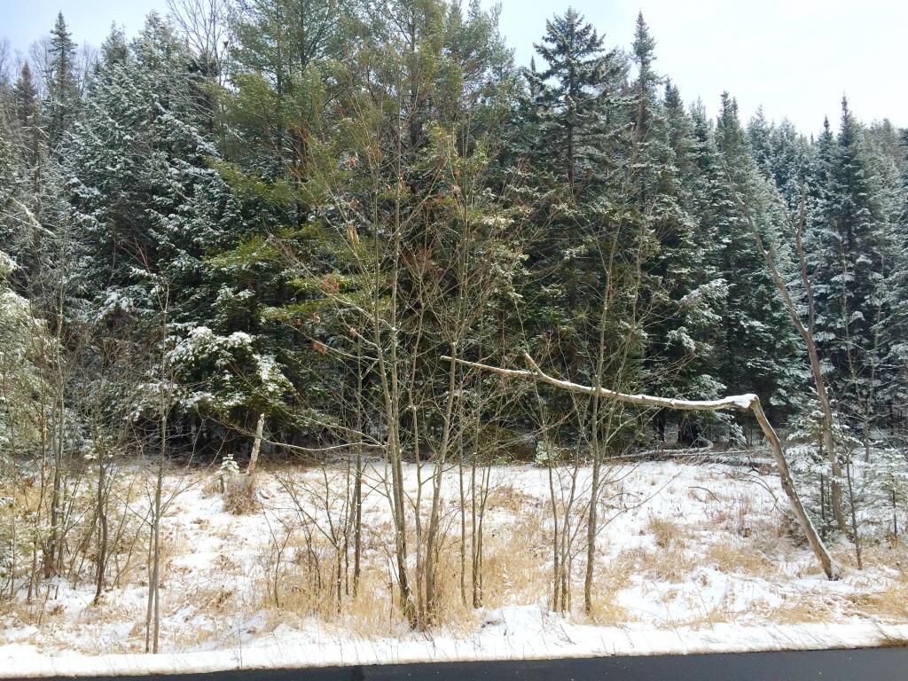 Lot 4 Tyler Farm Road Bradford, VT 05033 - Photo 4 of 6 Gallery Image 4